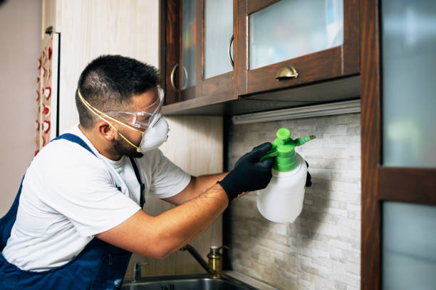 Best Cockroach Control Services  in Stilwell, OK