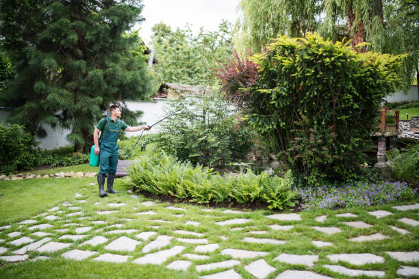 Best Mosquito Control Services  in Stilwell, OK