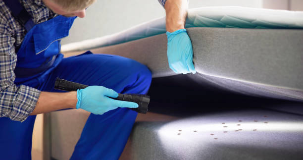 Best Affordable Exterminators  in Stilwell, OK