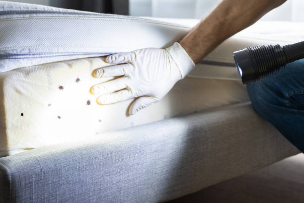 Best Pest Prevention Services  in Stilwell, OK