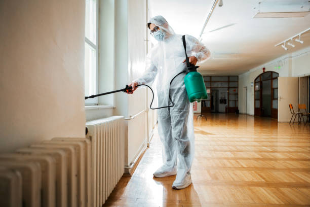 Best Flea Control Services  in Stilwell, OK
